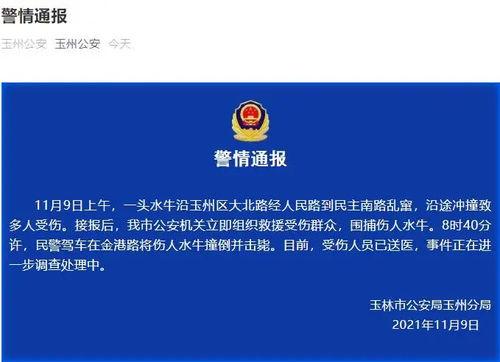 广西最新爆料视频新闻,揭秘神秘事件背后的真相