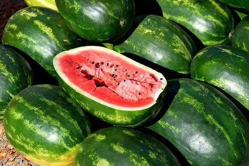 国产精品吃瓜视频免费,免费畅享欢乐时光 第3张 国产精品吃瓜视频免费,免费畅享欢乐时光 第3张