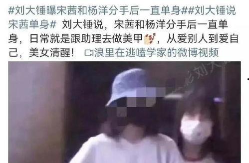 刘大锤爆料宋茜欧豪视频,恋情疑曝光？