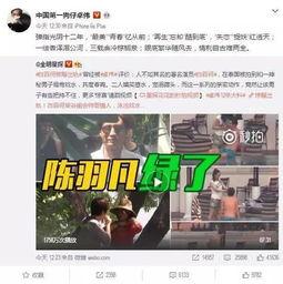 女方爆料赵辰宇视频大全,真相大白  第2张